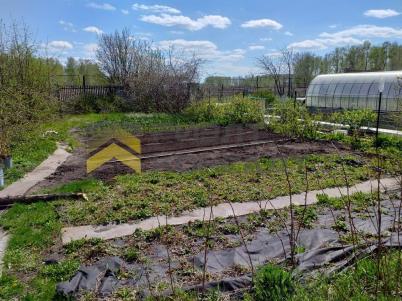 Продажа дачи Омск. г Омск , Центральный АО СНТ 