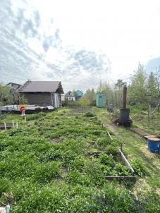 Продажа дачи СНТ Тепличный 1 Продажа дачи СНТ Тепличный 1