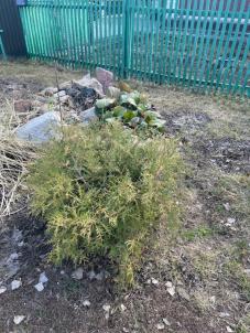 Продажа дома Мира, 5 Продажа дома Мира, 5