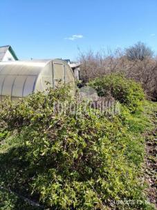 Продажа дачи Гауф. Продажа дачи Гауф.