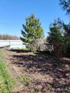 Продажа дачи Гауф. Продажа дачи Гауф.