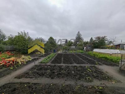 Продажа дачи Омск. Омск, СН Дары Сибири, аллея 20 Продажа дачи Омск. Омск, СН Дары Сибири, аллея 20