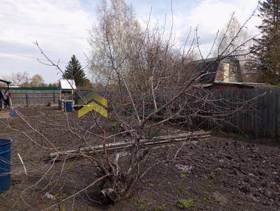 Продажа дачи Омск. Омск, СН Дары Сибири, аллея 20 Продажа дачи Омск. Омск, СН Дары Сибири, аллея 20