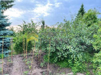 Продажа дачи Омск. г Омск, тер.СОСН Иртышские зори Продажа дачи Омск. г Омск, тер.СОСН Иртышские зори