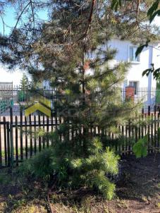 Продажа дачи Омск. г Омск, тер.СОСН Иртышские зори Продажа дачи Омск. г Омск, тер.СОСН Иртышские зори