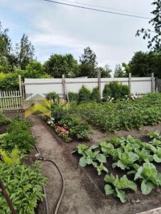 Продажа дачи Омск. Омск, территория СОСН Связист-3, 5-я аллея Продажа дачи Омск. Омск, территория СОСН Связист-3, 5-я аллея