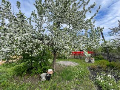 Продажа дачи Омск. СОСН Шинник-2 Продажа дачи Омск. СОСН Шинник-2