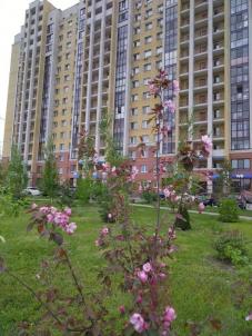 Продажа квартиры Омск. ул Крупской, 14/2 Продажа квартиры Омск. ул Крупской, 14/2