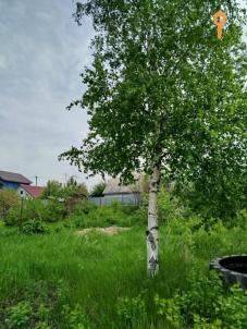 Продажа дачи Омск. Садоводческое некоммерческое товарищество Звёздочка, 842 Продажа дачи Омск. Садоводческое некоммерческое товарищество Звёздочка, 842