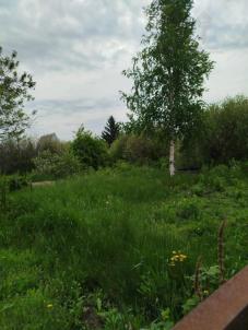 Продажа дачи Омск. Садоводческое некоммерческое товарищество Звёздочка, 842 Продажа дачи Омск. Садоводческое некоммерческое товарищество Звёздочка, 842