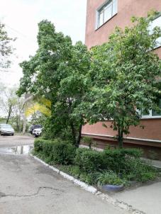 Продажа квартиры Омск. улица Иртышская Набережная, 18