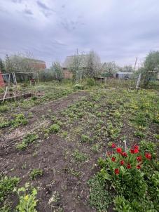 Продажа дачи Омск. СНТ Карат Продажа дачи Омск. СНТ Карат