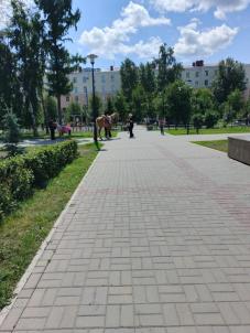 Продажа квартиры Омск. проспект Карла Маркса 38 Продажа квартиры Омск. проспект Карла Маркса 38
