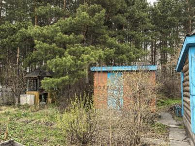 Продажа дачи Омск. Строитель-84 тер.СОСН. . Строитель-84 тер.СОСН