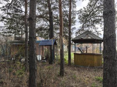 Продажа дачи Омск. Строитель-84 тер.СОСН. . Строитель-84 тер.СОСН