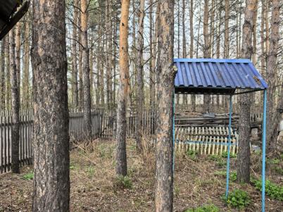 Продажа дачи Омск. Строитель-84 тер.СОСН. . Строитель-84 тер.СОСН