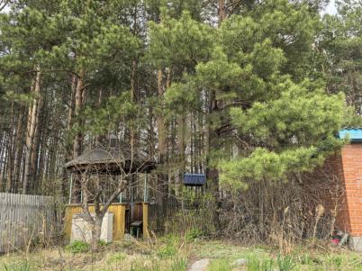 Продажа дачи Омск. Строитель-84 тер.СОСН. . Строитель-84 тер.СОСН