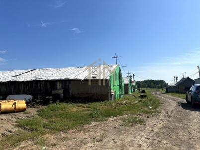 Продажа коммерческой недвижимости Таврический. Таврическое. Кирпичная ул., 1А