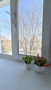 Продажа квартиры Омск. Попова, 5