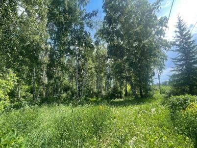 Продажа дачи Омск. СОСН Рассвет Продажа дачи Омск. СОСН Рассвет