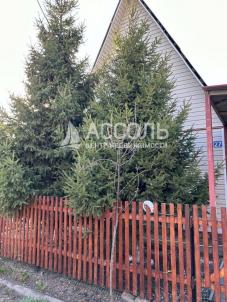 Продажа дачи Омск. 2-я аллея, СНТ Излучина, Богословское сельское поселение, Омский район