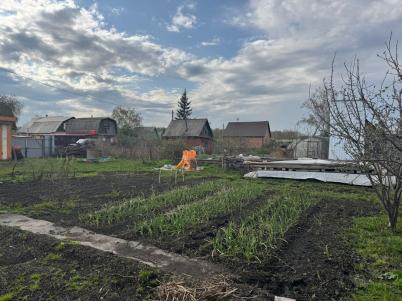 Продажа дачи Омск. Омская область, Омск, Березовая Роща СНТ Продажа дачи Омск. Омская область, Омск, Березовая Роща СНТ