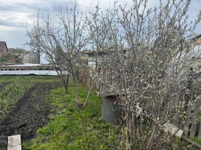Продажа дачи Омск. Омская область, Омск, Березовая Роща СНТ Продажа дачи Омск. Омская область, Омск, Березовая Роща СНТ
