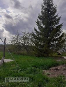 Продажа дома Любинский район. деревня Барсуковка. деревня Барсуковка Барсуковская улица 1 Продажа дома Любинский район. деревня Барсуковка. деревня Барсуковка Барсуковская улица 1