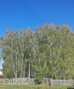 Продажа дома Хвойный переулок 4 Продажа дома Хвойный переулок 4