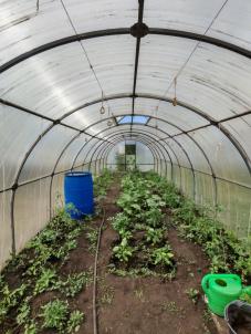 Продажа дачи Омск. Степное Продажа дачи Омск. Степное