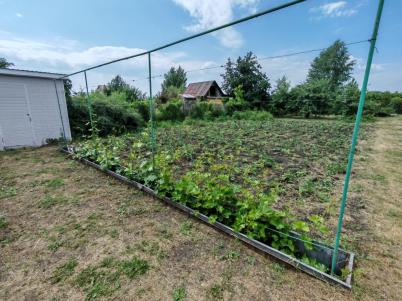 Продажа дачи Омск. Степное Продажа дачи Омск. Степное