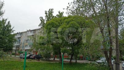 Продажа квартиры Омск. 75 Гвардейской бригады, 9 Продажа квартиры Омск. 75 Гвардейской бригады, 9