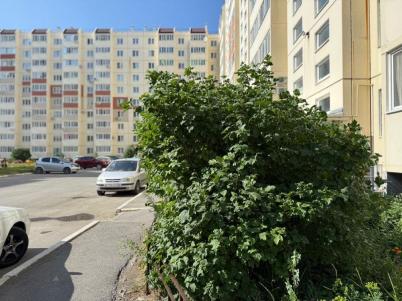 Аренда квартиры Омск. Амурская 21-я, 37