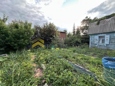Продажа дачи Омск. Омск, садоводческое некоммерческое товарищество Любитель, 20 Продажа дачи Омск. Омск, садоводческое некоммерческое товарищество Любитель, 20
