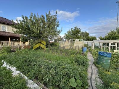 Продажа дачи Омск. Омск, садоводческое некоммерческое товарищество Любитель, 20 Продажа дачи Омск. Омск, садоводческое некоммерческое товарищество Любитель, 20