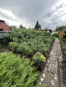 Продажа дачи снт Ландыш Продажа дачи снт Ландыш