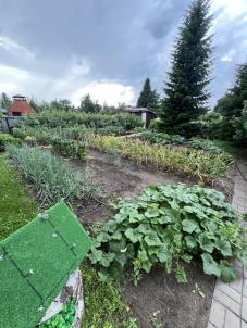 Продажа дачи снт Ландыш Продажа дачи снт Ландыш