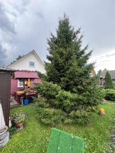 Продажа дачи снт Ландыш Продажа дачи снт Ландыш
