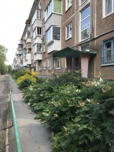 Продажа квартиры Омск. улица Бородина, 33 Продажа квартиры Омск. улица Бородина, 33