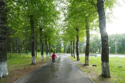 Продажа квартиры Омск. Степной, 40 лет Ракетных войск, 3