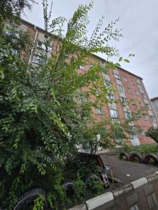 Продажа квартиры Омск. Юбилейный, Попова, 5 Продажа квартиры Омск. Юбилейный, Попова, 5