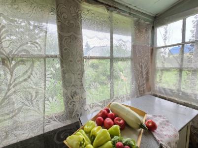 Продажа дачи Омск. СНТ Жилищник, 4 Продажа дачи Омск. СНТ Жилищник, 4