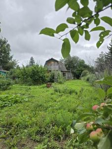 Продажа дачи Омск. СНТ Жилищник, 4 Продажа дачи Омск. СНТ Жилищник, 4