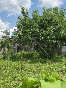 Продажа дачи Омск. СНТ Жилищник, 4 Продажа дачи Омск. СНТ Жилищник, 4