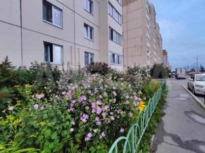 Продажа квартиры Омск. ул. 21-я Амурская, 35 Продажа квартиры Омск. ул. 21-я Амурская, 35