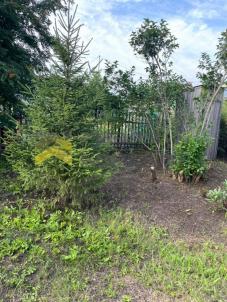 Продажа дачи Омск. г Омск, тер.СОСН Степное, д 1076