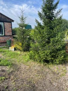 Продажа дачи Омск. г Омск, тер.СОСН Степное, д 1076