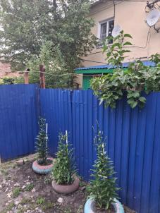 Продажа квартиры Любинский район. село Алексеевка. село Алексеевка Совхозная улица 32