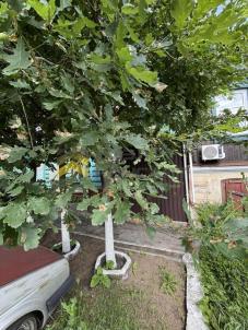 Продажа дома Омск. улица Слободская, 9 Продажа дома Омск. улица Слободская, 9