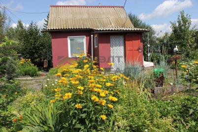 Продажа дачи Омск.&nbsp;Омск, ТСН СНТ Ромашка, 4-я аллея, 20